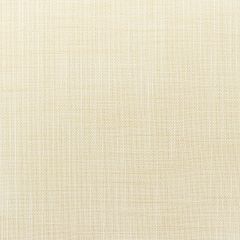 Kravet Basics  4668-111  Drapery Fabric