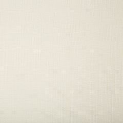 Kravet Basics  4669-1  Drapery Fabric