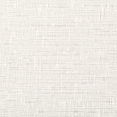 Kravet Basics  4673-101  Drapery Fabric