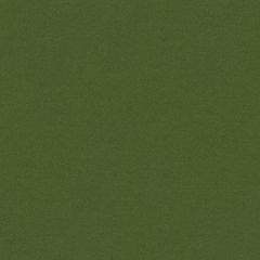Kravet Couture Green 33127-53 Indoor Upholstery Fabric
