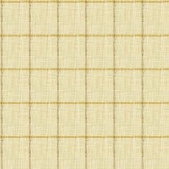 Kravet Basics 34085-416 Rustic Cottage Collection Multipurpose Fabric