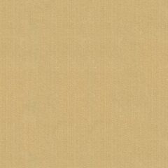 Kravet Smart Tan 33345-1111 Guaranteed in Stock Indoor Upholstery Fabric