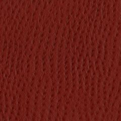 Nassimi Phoenix 101 Cherry Faux Leather Upholstery Fabric