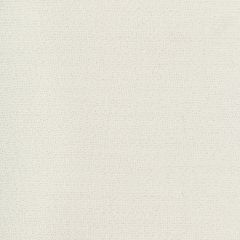 Kravet Basics  4718-101  Drapery Fabric