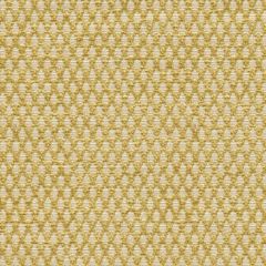 Kravet Design Gold 31373-14 Guaranteed in Stock Indoor Upholstery Fabric