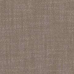 Perennials Rough 'n Rowdy Sable 955-244 Beyond the Bend Collection Upholstery Fabric