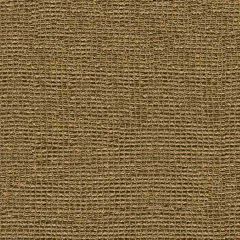 Kravet Couture Threads Camel 9309-640 by Michael Berman Drapery Fabric