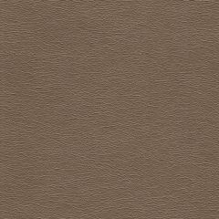 Kravet Design Galleon Beige 106 Faux Leather Indoor Upholstery Fabric