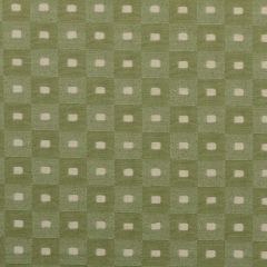 Duralee Cactus 32692-343 Decor Fabric