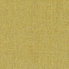 Duralee Saffron 90932-551 Decor Fabric