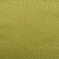 Duralee Kiwi 32656-554 Decor Fabric