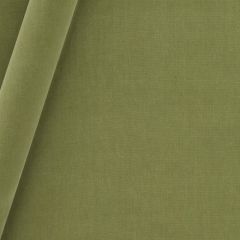 Beacon Hill Lady Elsie-Peapod 241925 Decor Upholstery Fabric