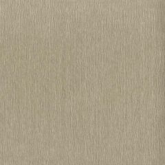 ABBEYSHEA McCoy 91 Platinum Indoor Upholstery Fabric
