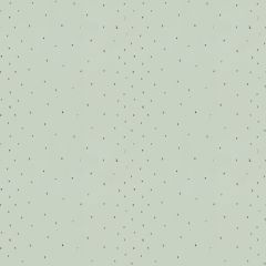 Kravet Sunstone Spa 4191-115 by Candice Olson Drapery Fabric