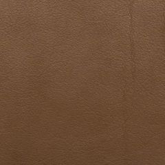 Kravet Design Brownstone L-Portofin Indoor Upholstery Fabric