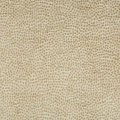 Kravet Design 34971-4 Crypton Home Indoor Upholstery Fabric