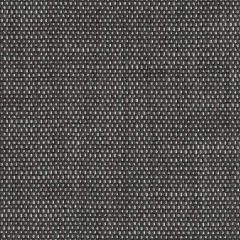 Perennials Rough 'n Rowdy Seal 955-326 Beyond the Bend Collection Upholstery Fabric
