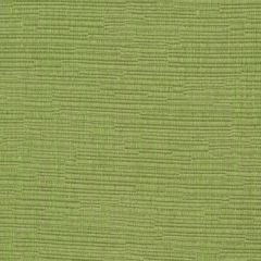 Robert Allen Happy Hour Spring Grass 247089 Ribbed Textures Collection Indoor Upholstery Fabric