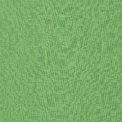Robert Allen Linen Slub Grass Linen Solids Collection Multipurpose Fabric