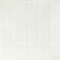 Kravet Couture Chumash Ivory 4895-1 by Barbara Barry Ojai Collection Drapery Fabric