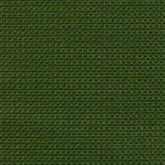 Tempotest Home Michelangelo Olive 50964/5 Strutture Collection Upholstery Fabric