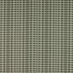Gaston Y Daniela Pavia Gris GDT5322-2 Tierras Collection Indoor Upholstery Fabric