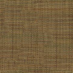 Kravet Smart Brown 31754-315 Indoor Upholstery Fabric