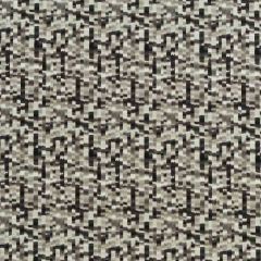 Threads Saturn Platinum / Ebony ED75015-2 Odyssey Collection Multipurpose Fabric