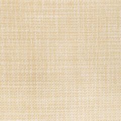 Kravet Contract Luma Texture Desert 4947-1614 FR Window Luma Texture Collection Drapery Fabric