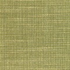 Kravet Contract Luma Texture Cactus 4947-314 FR Window Luma Texture Collection Drapery Fabric