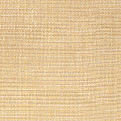 Kravet Contract Luma Texture Straw 4947-416 FR Window Luma Texture Collection Drapery Fabric
