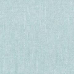 Duralee Basic Instinct-Seaglass by Eileen K. Boyd 15659-619 Decor Fabric