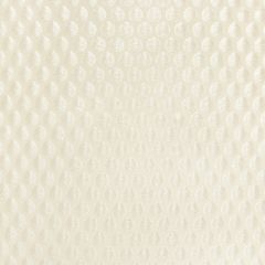 Kravet Couture Perfect Catch Cream 4950-16 Modern Luxe Silk Luster Collection Drapery Fabric