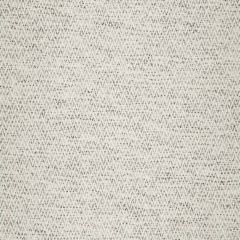Robert Allen Nobletex Rr Bk Platinum 248064 Indoor Upholstery Fabric
