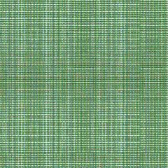 Kravet Contract Delancy Jungle 34112-35 Crypton Incase Collection Indoor Upholstery Fabric