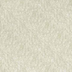 F. Schumacher Grand Cascade Driftwood 175350 Au Natural Collection