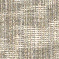 Perennials Stree-Yay! Tin 942-297 Kidding Around Collection Upholstery Fabric
