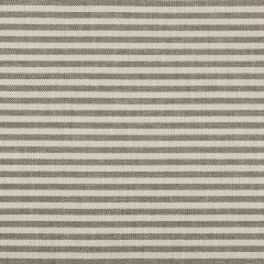 Lee Jofa Modern Rayas Stripe Soot GWF-3745-168 by Kelly Wearstler Upholstery Fabric