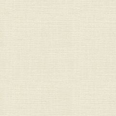 Kravet Smart Weaves Alabaster 33140-1 by Sarah Richardson Multipurpose Fabric