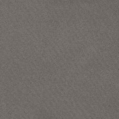 F. Schumacher Blake Graphite 69575 Perfect Basics: Polished Poplin Collection