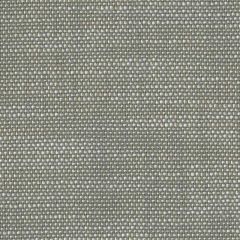 Perennials Rough 'n Rowdy Nickel 955-296 Beyond the Bend Collection Upholstery Fabric