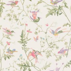 Cole and Son Hummingbirds Soft / Multi 100-14067 Archive Anthology Collection Wall Covering