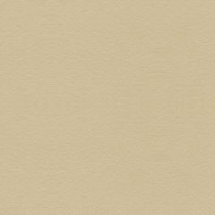 Lee Jofa Ultimate Bisque 960122-100 Ultimate Suede Collection Indoor Upholstery Fabric