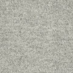 Beacon Hill Fine Boucle Platinum 241371 Plush Boucle Solids Collection Indoor Upholstery Fabric