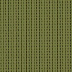 Robert Allen Contract Rinomato Citrus 190050 Indoor Upholstery Fabric