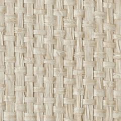 Winfield Thybony Paperweave WOC2452 Wall Covering