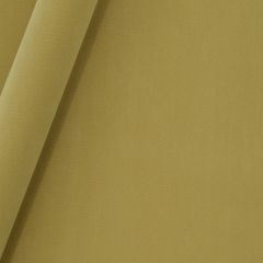 Robert Allen Forever Velvet Honeysuckle 245481 Durable Velvets Collection Indoor Upholstery Fabric