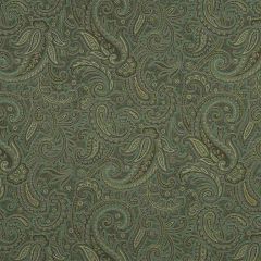 Robert Allen Modern Paisley Aloe 224475 Color Library Collection Indoor Upholstery Fabric