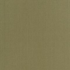 Robert Allen Swagger Olive Linen Solids Collection Multipurpose Fabric