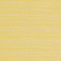 Duralee Sunflower DW16053-632 The Tradewinds Indoor-Outdoor Woven Collection  Upholstery Fabric